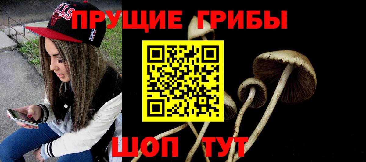 Михайловск  Галлюциногенные грибы MAGIC MUSHROOMS  Вход с VPN 